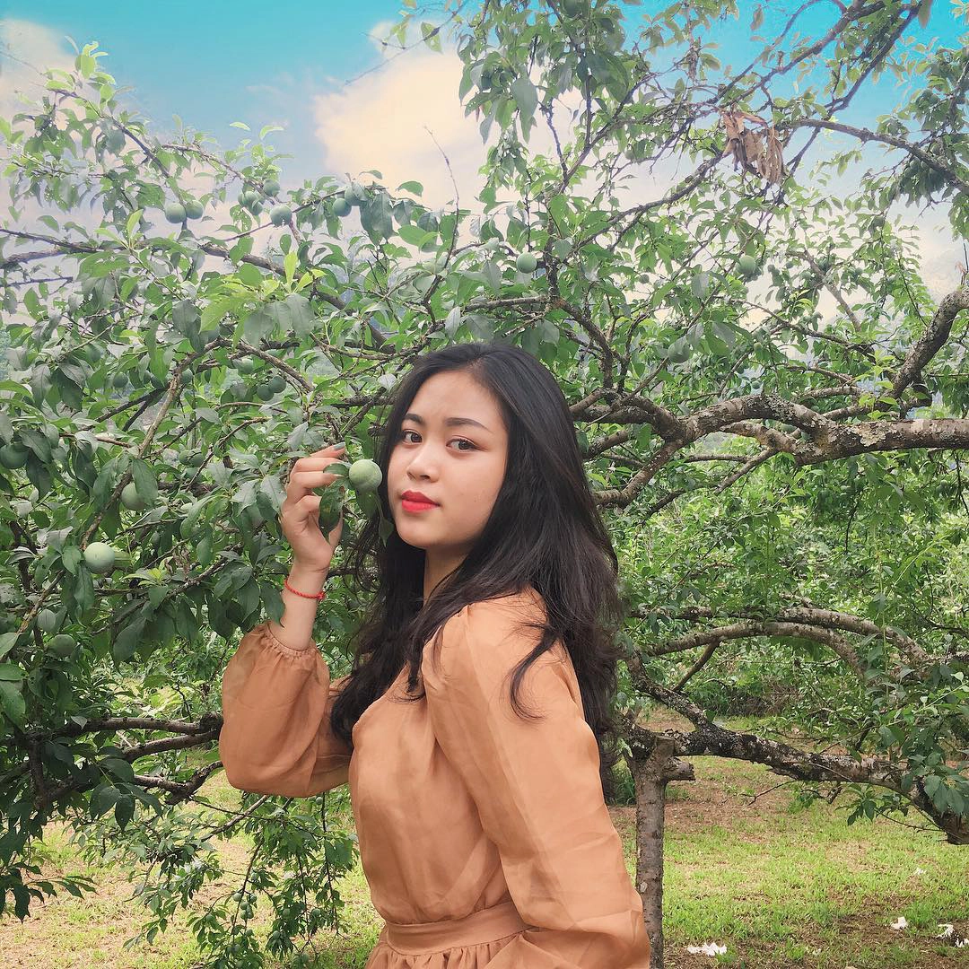 Ảnh: minhhientran_ Ảnh: minhhientran_