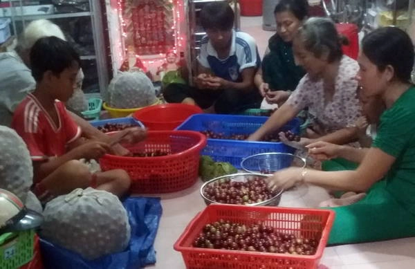 Hồng quân chuẩn bị ngâm ủ rượu - Ảnh: Hoài Vũ