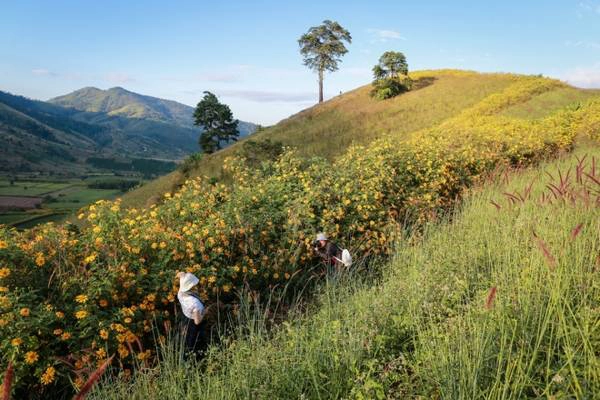 So với những nơi khác ở Gia Lai, nhiệt độ ở Chư Đăng Ya luôn cao hơn 1-2 độ do đất bazan núi lửa đã trải qua nhiều ngày khô hạn. Miệng núi không có nước và cũng không ai mang được nước lên lên đây nhưng hoa cỏ, cây cối trên núi vẫn xanh tươi .