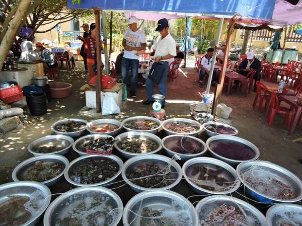 Chợ xứ biển - một nét văn hóa của cư dân Cù Lao Chàm - Ảnh: THANH LY Chợ xứ biển - một nét văn hóa của cư dân Cù Lao Chàm - Ảnh: THANH LY