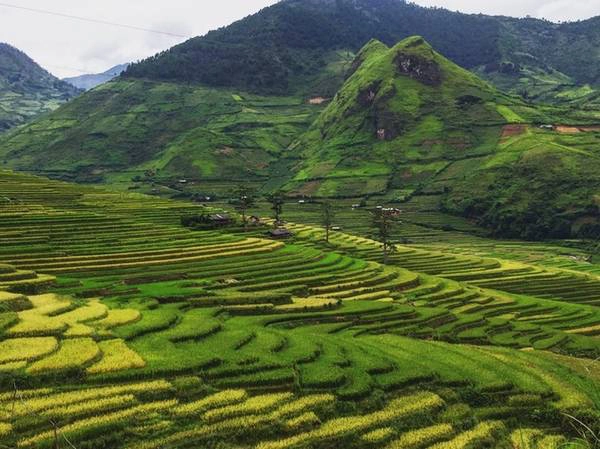 "Đường đi đã được thông suốt, một số điểm còn lở nhưng đã và đang được dọn sạch. Cầu đi vào suối nước nóng bản Bon ở Nghĩa Lộ bị sập, muốn vào phải lội qua suối, gửi xe ở ngoài. Bản Hốc vẫn tắm được bình thường, nhưng nước bị đục", Tuấn thông tin thêm về đường đi ở Yên Bái sau đợt lũ vừa qua.
