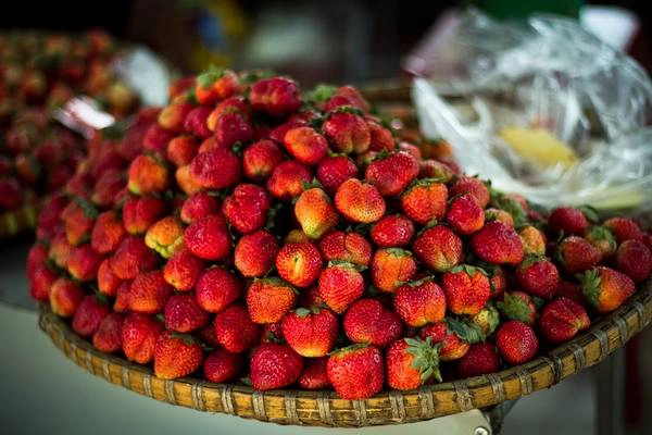 Nhìn hấp dẫn không nào.