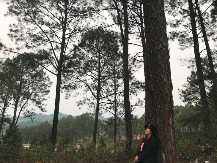 lich-trinh-chi-tiet-du-lich-a-noi-ninh-binh-moc-chau-trong-8-ngay-ivivu-34