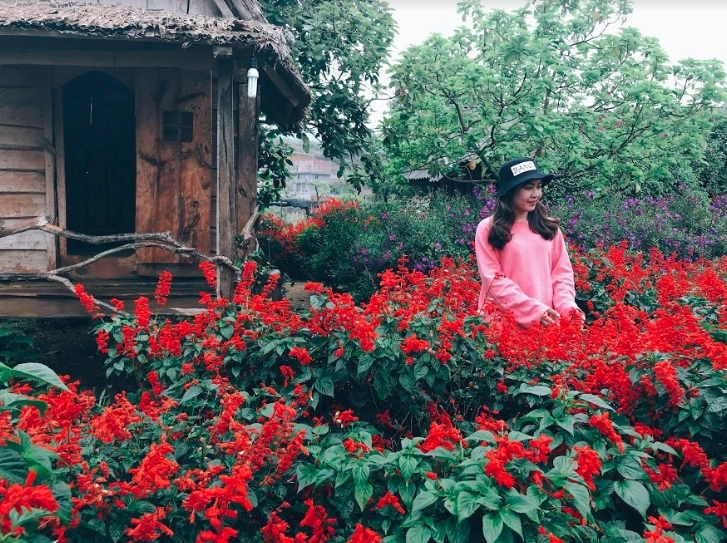 lich-trinh-chi-tiet-du-lich-a-noi-ninh-binh-moc-chau-trong-8-ngay-ivivu-35