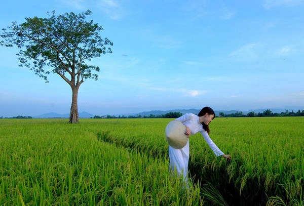 Phong cảnh miền quê yên bình và dung dị ở Phú Yên. Ảnh: Lê Minh. Phong cảnh miền quê yên bình và dung dị ở Phú Yên. Ảnh: Lê Minh.