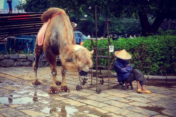 Khung cảnh như trong phim kiếm hiệp. Khung cảnh như trong phim kiếm hiệp.