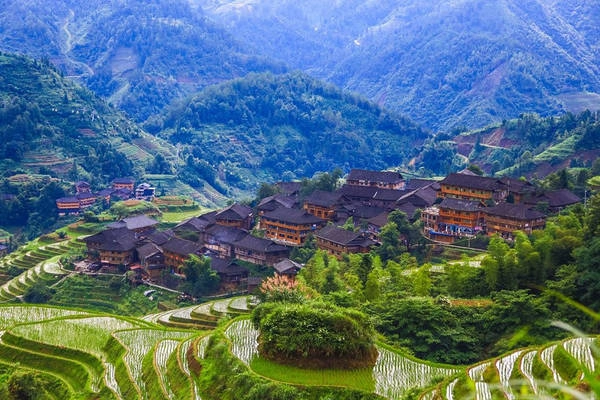 Ruộng bậc thang Long Tích. Ruộng bậc thang Long Tích.