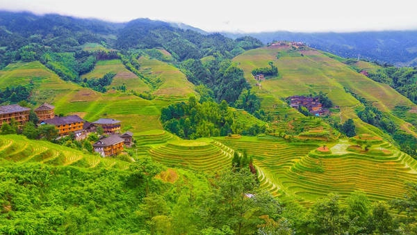 Long Tích được xem là ruộng bậc thang đẹp nhất. Long Tích được xem là ruộng bậc thang đẹp nhất.