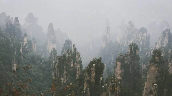 Trương Gia Giới là nơi từng được chọn làm bối cảnh của nhiều bộ phim bom tấn như Avatar, Tây Du Ký,… Ảnh: Nguyễn Trường Sơn Trương Gia Giới là nơi từng được chọn làm bối cảnh của nhiều bộ phim bom tấn như Avatar, Tây Du Ký,… Ảnh: Nguyễn Trường Sơn