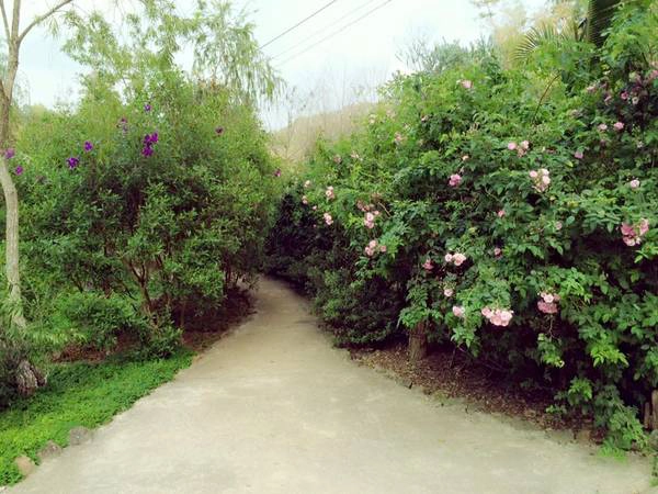 Đường vào Ma rừng lữ quán. Đường vào Ma rừng lữ quán.