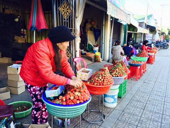 Mua dâu ở vựa dâu trên đường Nguyễn Công Trứ. Mua dâu ở vựa dâu trên đường Nguyễn Công Trứ.