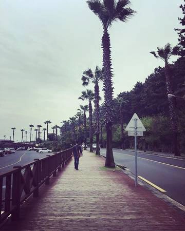 Đường đi bộ ra cầu cảng Seogwipo.