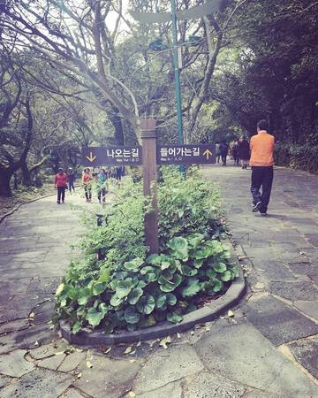 Đường đi đến thác Cheonjiyeon.