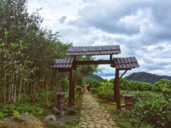  Xung quanh chùa vô cùng bình yên và tĩnh lặng. Khí trời mát mẻ, cảnh vật hiền hoà khiến lòng người cũng nhẹ nhõm lạ thường. 