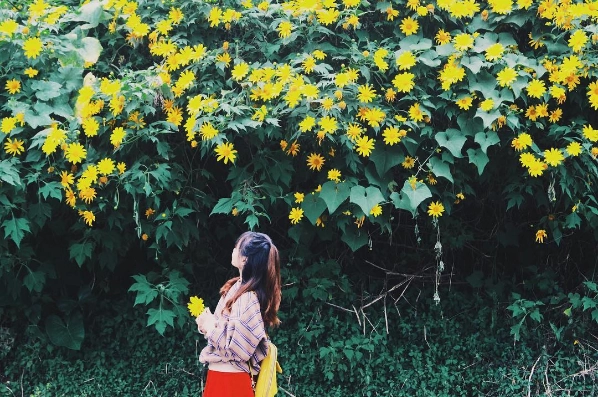 Ảnh:@_phganh Ảnh:@_phganh