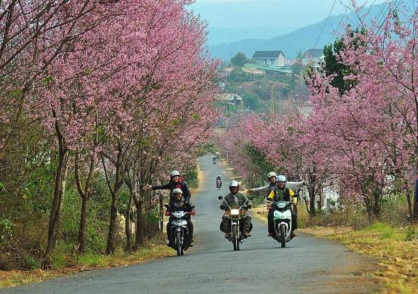 Các bạn trẻ thích thú khi đi ngang cung đường đẹp như tranh. Ảnh: ST Các bạn trẻ thích thú khi đi ngang cung đường đẹp như tranh. Ảnh: ST