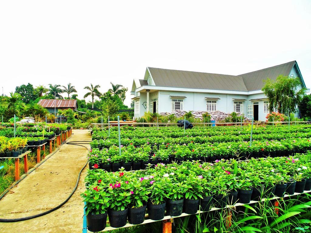 Flower Village Homestay - IVIVU-1