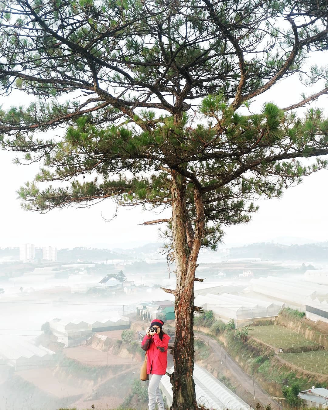 Ảnh: lalla.nq Ảnh: lalla.nq