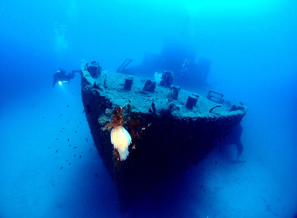 San Dimitri ở phía tây Gozo là điểm lặn thu hút nhất ở Malta. Bạn cũng có thể đến Ghasri phía bắc Gozo để ngắm nhìn những đàn cá ngựa màu sắc bơi trong nước. Nằm sâu khoảng 13 m dưới đáy biển là xác tàu HMS Maori và tàu Bristol Beaufighter. Hai tàu này đâm trúng kình ngư vào thời Thế chiến II và vẫn nằm đó cho đến bây giờ. San Dimitri ở phía tây Gozo là điểm lặn thu hút nhất ở Malta. Bạn cũng có thể đến Ghasri phía bắc Gozo để ngắm nhìn những đàn cá ngựa màu sắc bơi trong nước. Nằm sâu khoảng 13 m dưới đáy biển là xác tàu HMS Maori và tàu Bristol Beaufighter. Hai tàu này đâm trúng kình ngư vào thời Thế chiến II và vẫn nằm đó cho đến bây giờ.