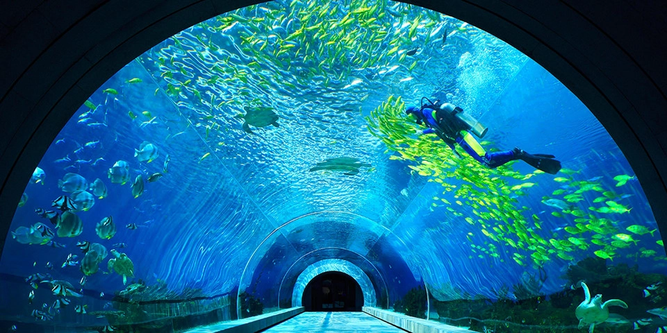 Vịnh Tam Á có bờ biển dài khoảng 20 km và nổi bật bởi các môn thể thao dưới nước như xe máy nước, lặn biển, trượt ván... Hệ thực vật dưới biển phong phú, đa dạng cũng được tái hiện trên phim. Dịch vụ du lịch tại Tam Á đã được đẩy mạnh phát triển từ nhiều năm. Theo đó, vô số các khách sạn, resort sang chảnh tọa lạc quanh bờ biển sẽ đưa du khách đến những trải nghiệm tuyệt vời nhất. Ảnh: Theculturaltrip. Vịnh Tam Á có bờ biển dài khoảng 20 km và nổi bật bởi các môn thể thao dưới nước như xe máy nước, lặn biển, trượt ván... Hệ thực vật dưới biển phong phú, đa dạng cũng được tái hiện trên phim. Dịch vụ du lịch tại Tam Á đã được đẩy mạnh phát triển từ nhiều năm. Theo đó, vô số các khách sạn, resort sang chảnh tọa lạc quanh bờ biển sẽ đưa du khách đến những trải nghiệm tuyệt vời nhất. Ảnh: Theculturaltrip.