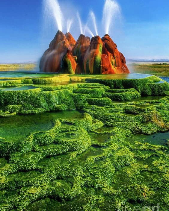 mach-nuoc-phun-Fly-Geyser-my-ivivu-1