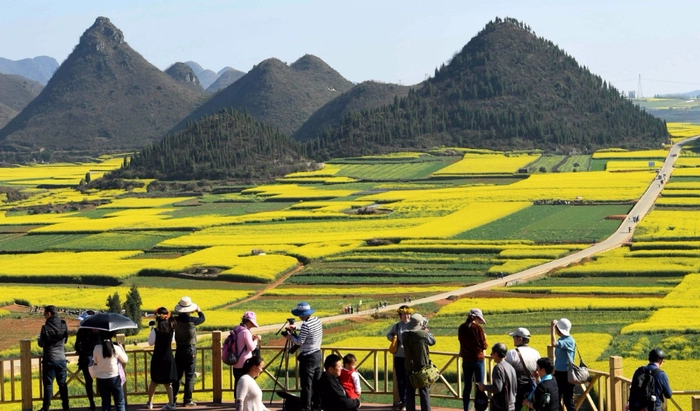 Mùa xuân là khoảng thời điểm rất nhiều du khách đổ đến Luoping, một huyện thuộc tỉnh Vân Nam, Trung Quốc để có thể tận mắt ngắm nhìn và chụp ảnh những cánh đồng hoa cải vàng tươi trải dài bất tận. Mùa xuân là khoảng thời điểm rất nhiều du khách đổ đến Luoping, một huyện thuộc tỉnh Vân Nam, Trung Quốc để có thể tận mắt ngắm nhìn và chụp ảnh những cánh đồng hoa cải vàng tươi trải dài bất tận.