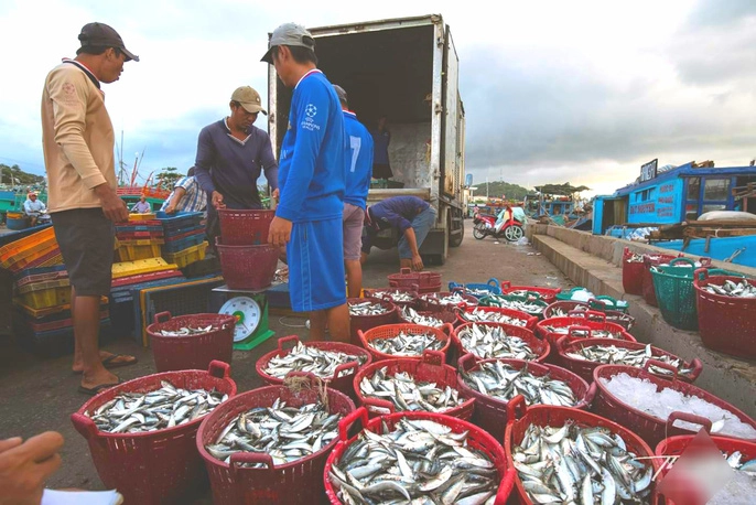 man-nhan-tai-cang-ca-lau-doi-o-dao-ngoc-phu-quoc-ivivu-11