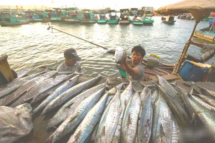 man-nhan-tai-cang-ca-lau-doi-o-dao-ngoc-phu-quoc-ivivu-5