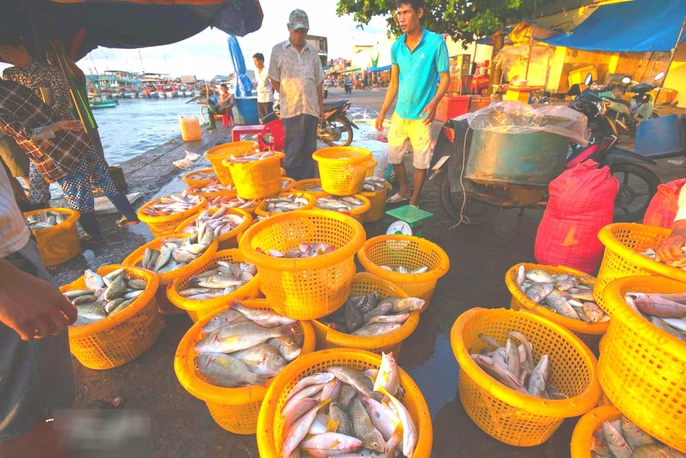 man-nhan-tai-cang-ca-lau-doi-o-dao-ngoc-phu-quoc-ivivu-8