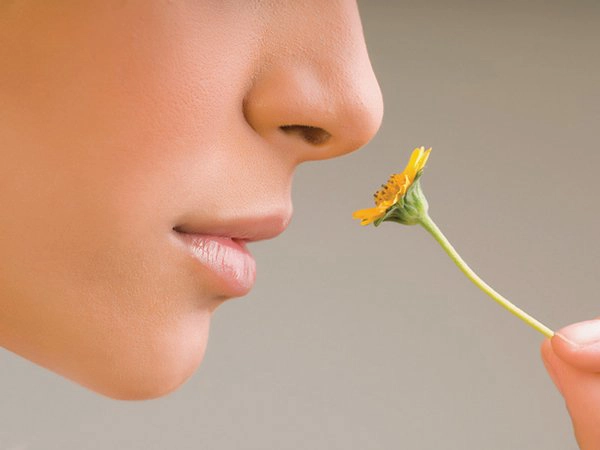mất khứu giác có hồi phục được không