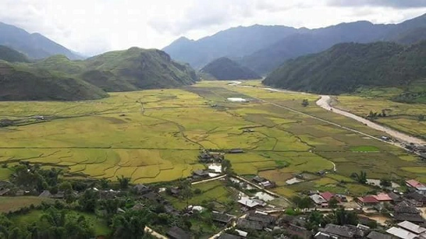 Vì hợp với đặc điểm khí hậu, đất nên nếp tan nơi đây nên giống nếp tan cổ này có vị ngon đặc trưng, hơn hẳn các giống lúa nếp thường. Vì hợp với đặc điểm khí hậu, đất nên nếp tan nơi đây nên giống nếp tan cổ này có vị ngon đặc trưng, hơn hẳn các giống lúa nếp thường.