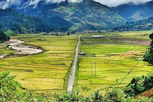 Nếp tan Ngọc Chiến được đánh gái là loại nếp ngon hơn hẳn các nếp khác, bởi nơi đây có khí hậu, đất, nguồn nước sạch, quanh năm mát mẻ. Nếp tan Ngọc Chiến được đánh gái là loại nếp ngon hơn hẳn các nếp khác, bởi nơi đây có khí hậu, đất, nguồn nước sạch, quanh năm mát mẻ.