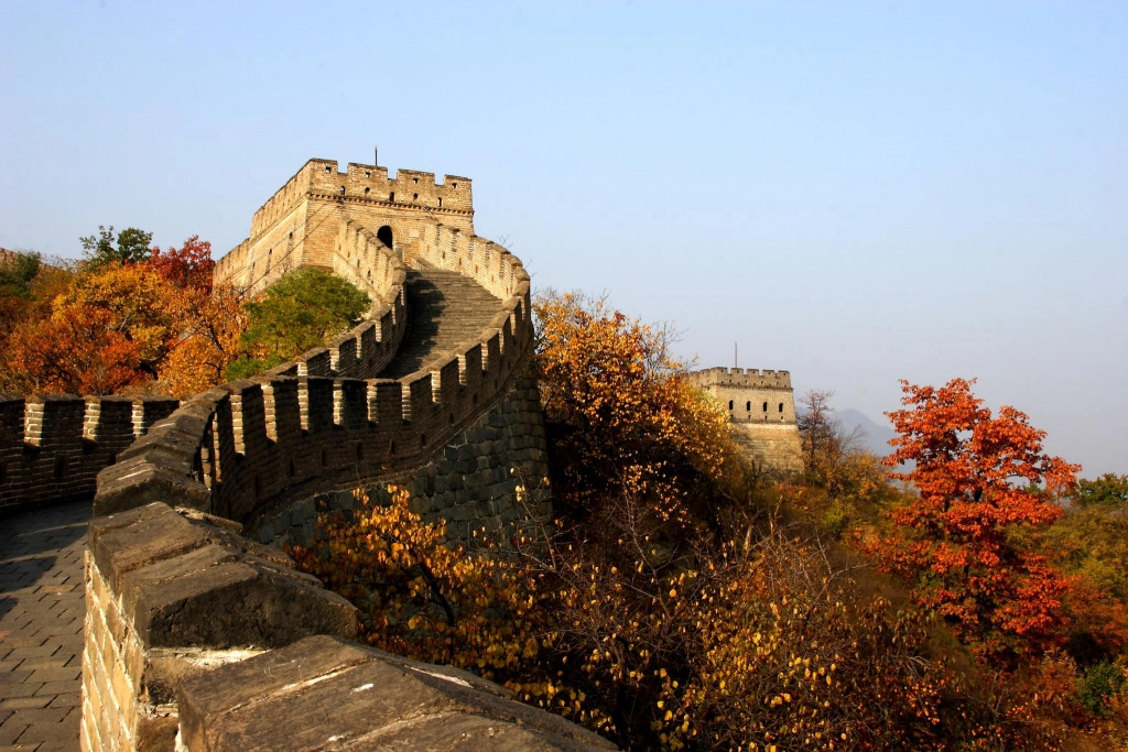  Những tán lá nhuộm vàng chân tường thành, tô điểm thêm khung cảnh man mác buồn của thành cổ. Ảnh: Vũ Hân.