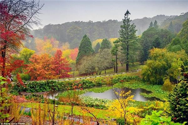  Những mảng màu tuyệt đẹp tại Adelaide Hills, đỉnh Lofty Ranges, nam Australia.