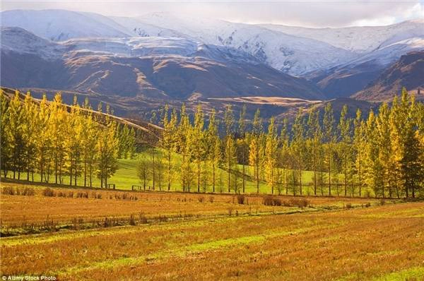    Bức tranh xinh đẹp ở Queenstown, New Zealand vào mùa thu.