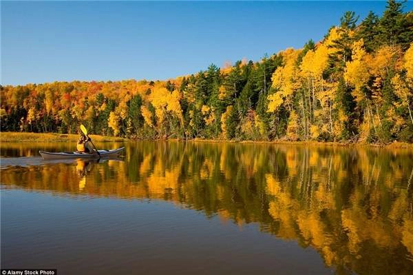 Hàng cây ở đảo Prince Edward soi bóng dưới dòng sông Bonshaw, Canada.