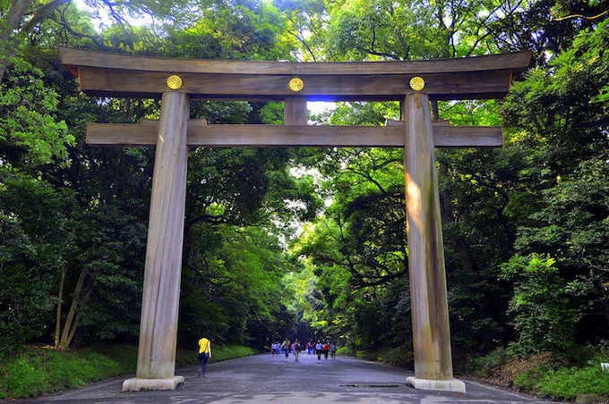 Cổng Torii dẫn vào đền được làm từ thân 2 cây gỗ nguyên khối có tuổi đời khoảng 1.700 năm trông rất uy nghi. Trước khi bước qua cổng, bạn phải cúi đầu bày tỏ sự tôn kính, đồng thời đi về hai bên đường bởi theo quan niệm của người Nhật, lối đi chính giữa dành cho các vị thần.
