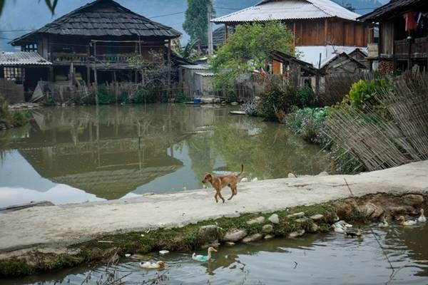 10 năm trước, đi từ thị trấn Mường La đến xã Ngọc Chiến chỉ hơn 40 km nhưng cũng phải mất 2 ngày bằng sức người và ngựa. Cuộc sống ở Ngọc Chiến giờ đây vẫn thanh bình đến kỳ lạ.
