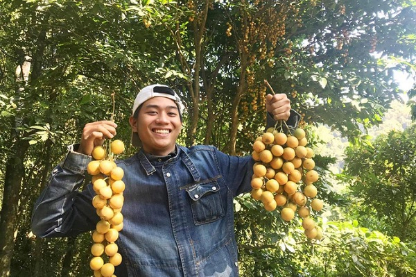 Đến đây, du khách còn được trải nghiệm vườn trái cây theo mùa. Đến đây, du khách còn được trải nghiệm vườn trái cây theo mùa.