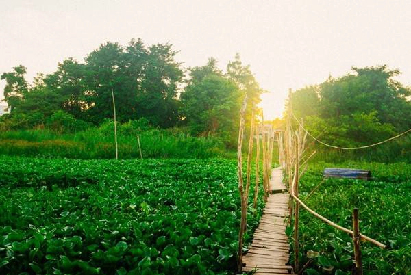 Rời làng nổi, chúng tôi qua phà Châu Giang để tới làng Chăm, với những thánh đường Hồi giáo nổi tiếng. Nhà sàn nhỏ với phần cửa ra vào thấp hơn đầu người, hàm ý khách đến chơi nhà phải cúi đầu chào chủ nhà. Du khách còn có thể tận mắt theo dõi cách những người phụ nữ Chăm làm ra một sản phẩm dệt thổ cẩm Phum Xoài.