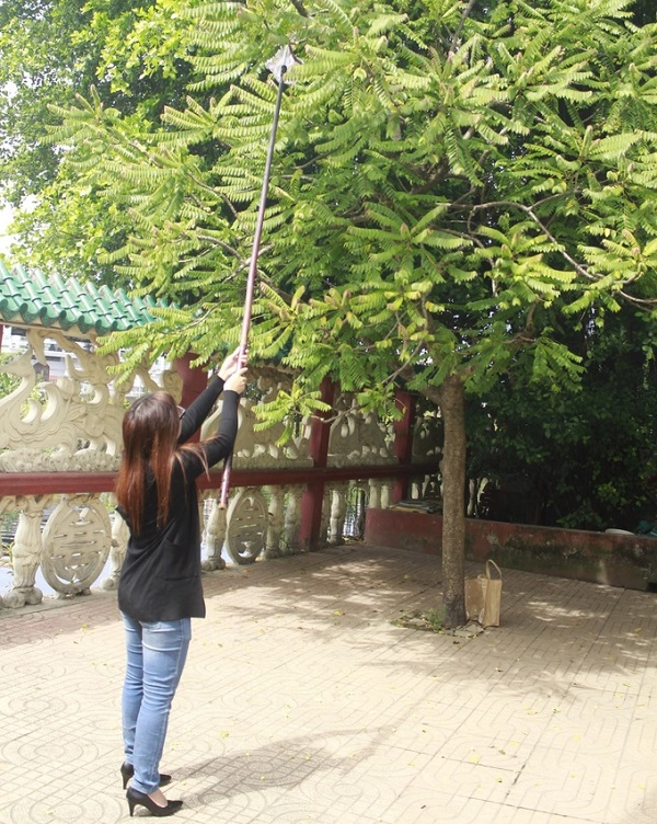 Trong sân có cây chùm ruột trĩu quả, người đi lễ có thể mượn cây khoèo của miếu, móc hái trái xin lộc. Trong sân có cây chùm ruột trĩu quả, người đi lễ có thể mượn cây khoèo của miếu, móc hái trái xin lộc.