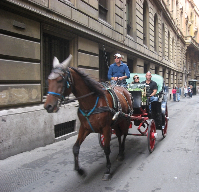Trải nghiệm tour thành Roma trên xe ngựa cũng là điều thú vị. Ảnh: Lê Thu Lan