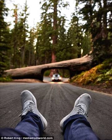 Liều mạng để có khoảnh khác đẹp tại Tunnel Log, Californa. Liều mạng để có khoảnh khác đẹp tại Tunnel Log, Californa.