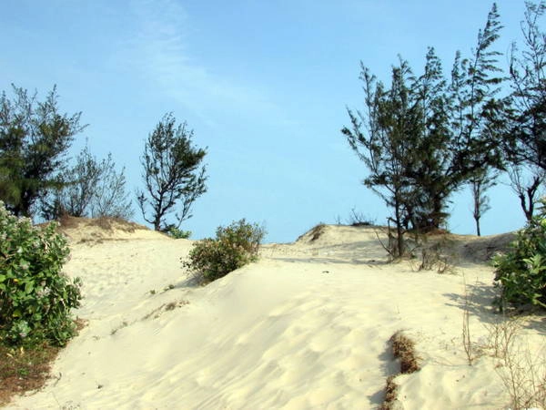 Tại một lối vào, muốn chạm chân đến bãi biển Cửa Lấp phải vượt qua đồi cát này - Ảnh: Nguyễn Thiên Đăng