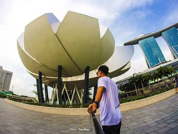 ArtScience Museum, bảo tàng khoa học nghệ thuật Singapore, một trong những nơi hấp dẫn du khách đến thăm quan. Bảo tàng được xây dựng hình bông hoa sen đang nở. Nơi đây tổ chức nhiều buổi triển lãm có quy mô tầm cỡ thế giới.