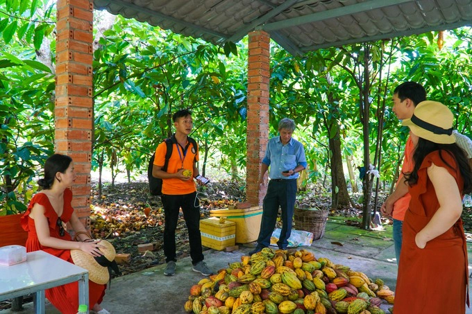 Về trưa, bạn có thể đến vườn cacao Mười Cương. Tại đây, ngoài thưởng thức sản phẩm từ trái cacao, khách còn được cùng gia chủ trải nghiệm các công đoạn sản xuất.  Cơ sở làm cacao này bắt đầu hoạt động từ những năm 1960. Hiện vườn có diện tích hơn 1,2 hecta với hơn 2.000 gốc cacao. Trong khi nhiều gia đình ở đồng bằng sông Cửu Long không còn mặn mà với loại cây này vì đầu ra và giá cả không ổn định, gia đình anh Quân vẫn gắn bó với nghề.