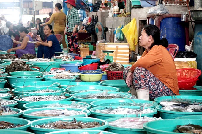 Ảnh: Phong Vinh Ảnh: Phong Vinh