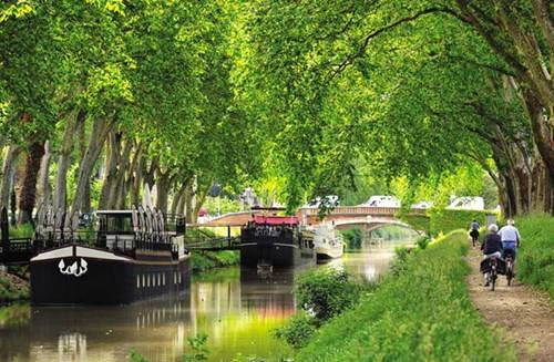 Du khách đạp xe dọc Canal du Midi