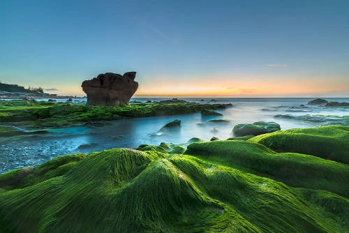 Mùa rêu ở Cổ Thạch thu hút rất nhiều các tay săn ảnh. Ảnh: Vietnamheritage. Mùa rêu ở Cổ Thạch thu hút rất nhiều các tay săn ảnh. Ảnh: Vietnamheritage.