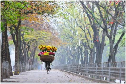 Du lịch Hà Nội 1 ngày: Mùa thu Hà Nội trên đường Kim Mã.